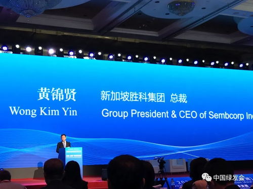 綠會(huì)副秘書長(zhǎng)應(yīng)邀參加2020全球能源互聯(lián)網(wǎng) 亞洲 大會(huì)