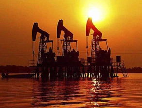 制裁將至 最先認(rèn)輸?shù)牟皇且晾?美松口 中國(guó)等8個(gè)國(guó)家不受約束